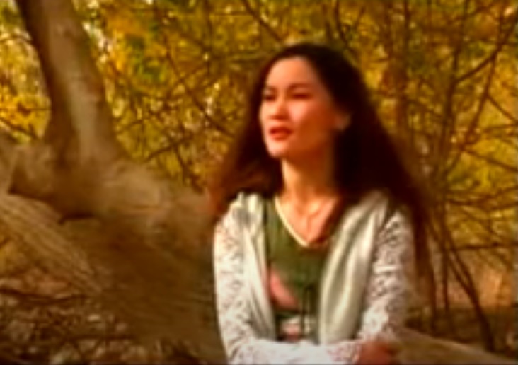 مىھرىگۈل ھەسەن